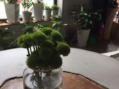 -Tian品