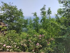 -北京西山国家森林公园