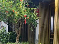-鲤院·新中式美学·庭院餐厅(夫子庙店)