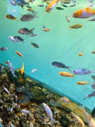 -Zoolung Zoolung动物主题公园(海信广场店)