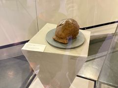 -北京周口店北京人遗址博物馆