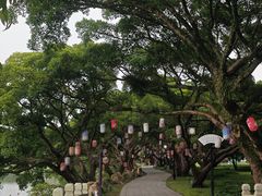 -江心屿景区