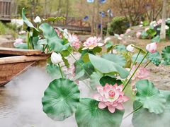 -茅山东方盐湖城景区