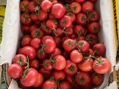 -庞各庄翠芳园西瓜蔬菜基地采摘园