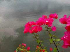 -三亚珠江南田温泉度假区