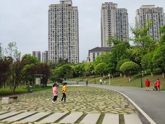 -沐仙湖湿地公园