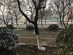 -山东理工大学