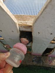 -萌宠亲子动物乐园(槐房万达店)