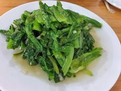 -小叶大馅饺子城