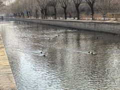 -元大都城垣遗址公园