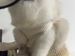 -御宝贝24h宠物医院·转诊中心·CT核磁血透中心(厦门总院)
