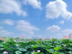 -济南大明湖景区