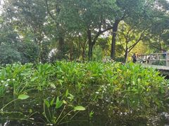 -成都市活水公园