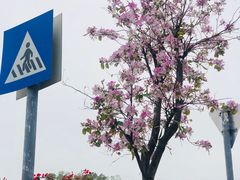 -小南山公园