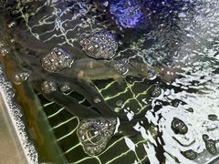 -再回头私房菜·老南京菜