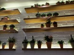 -翠華餐廳(浦东机场T1店)