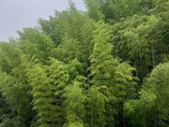 -将军关探险漂流