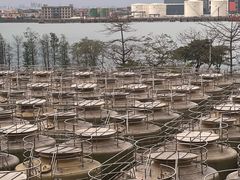 -厨邦酱油文化博览馆