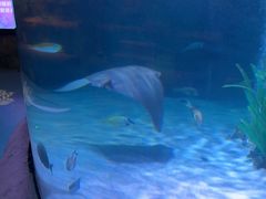 -沈阳海洋探索中心