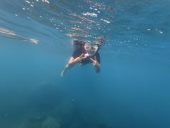 -亚龙湾海底世界