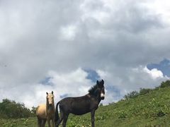 -硗碛藏寨·神木垒景区