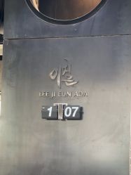 -韩国李知恩形象设计