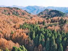 -山王坪喀斯特国家生态公园