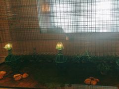 -映像威海·威海宴(威高广场店)