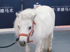 -万达广场(厦门湖里店)