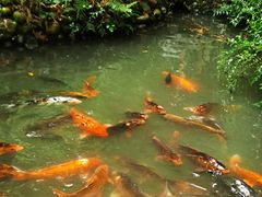 -成都杜甫草堂博物馆