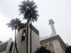-九龙公园