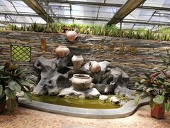 -万源龙顺度假庄园生态观光园