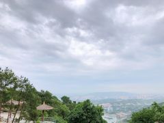 -铁山坪森林公园