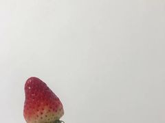 -鲜力达果品批发直销(青山店)
