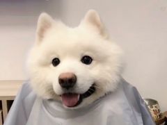-文仔海鲜馆