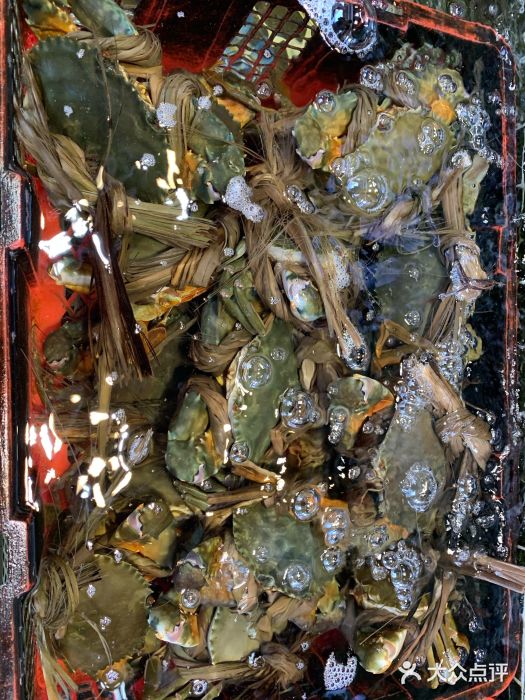 东江港海鲜城图片