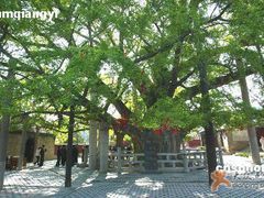 -浮来山风景区