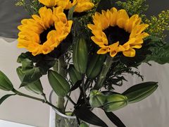 -龙大花卉苗木市场