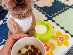 -瑞派·关忠动物医院·异宠专科·犬猫肿瘤·皮肤专科(望京店)