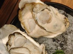 -牛New寿喜烧(金鹰世界店)