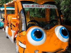 -上海滨江森林公园