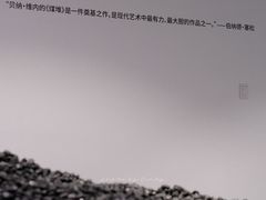 -凤凰中心