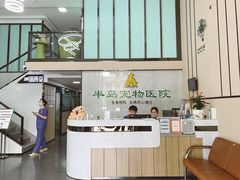-半岛宠物医院24小时(科华中路店)