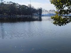 -东湖生态旅游风景区