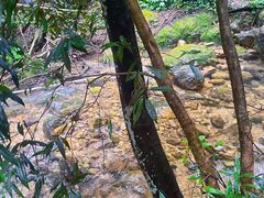 -飞霞风景名胜区