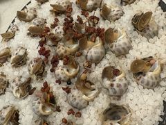 -华盛丰温州大排档(东三环南路店)