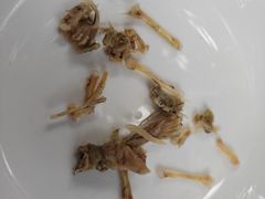 -二0二李记南瓜田鸡老字号(宜宾一店)