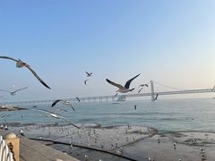 -星海广场