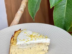 茉莉柚子巴斯克-溯洄咖啡VORTEX COFFEE