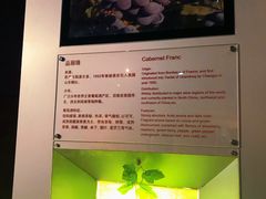 -龙谕酒庄